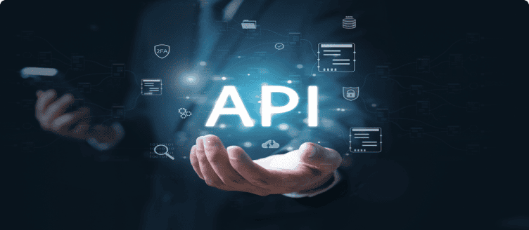 API Integration